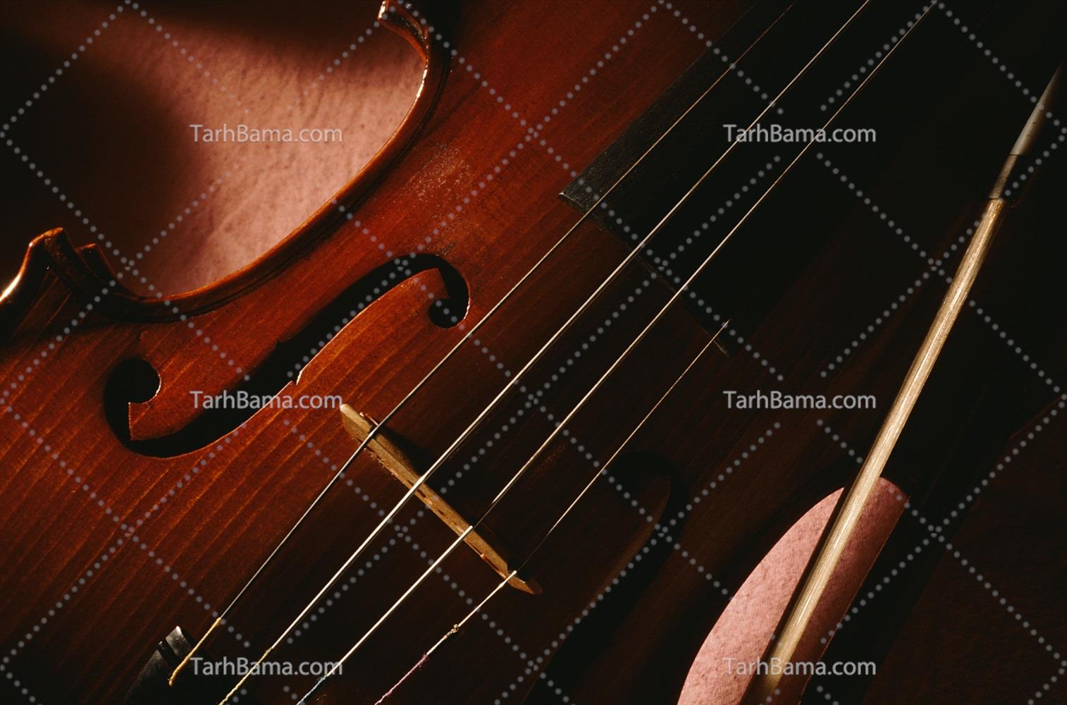 تصاویر صوتی و تصویری